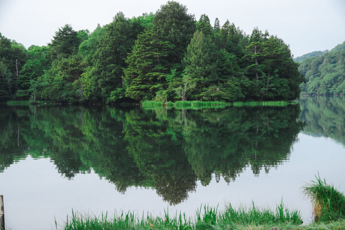 奥日光・湯の湖　2024年６月